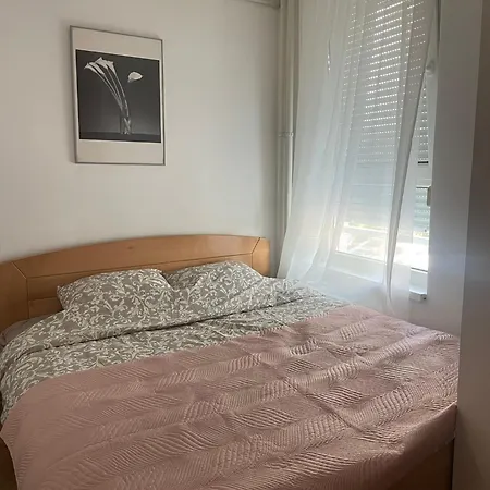 Manhattan Jorgovan Belvil